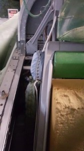 Right side of seat (from sitting in the seat)